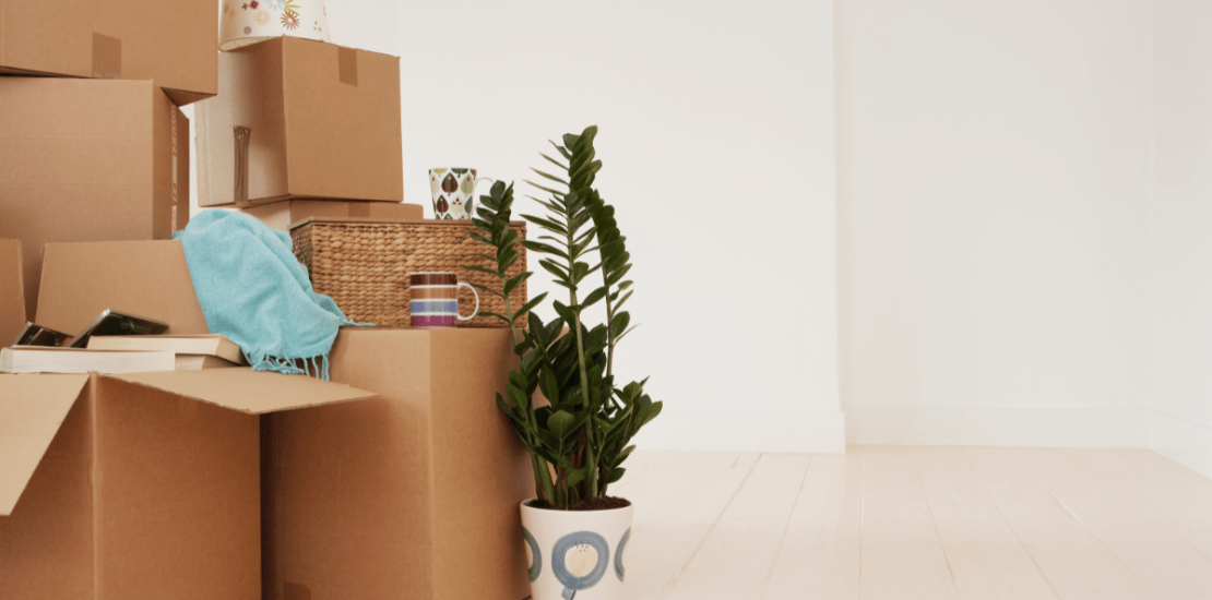 Traslado de equipos informáticos: cómo evitar daños