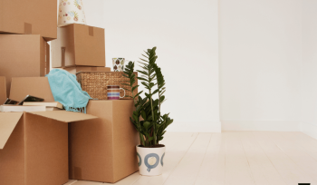 Traslado de equipos informáticos: cómo evitar daños